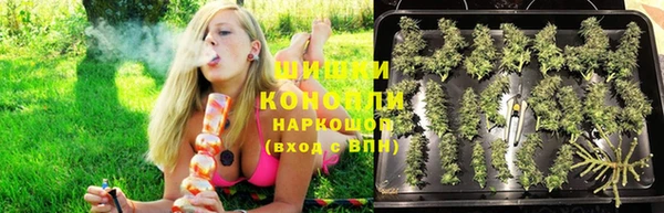 ALPHA PVP Касимов